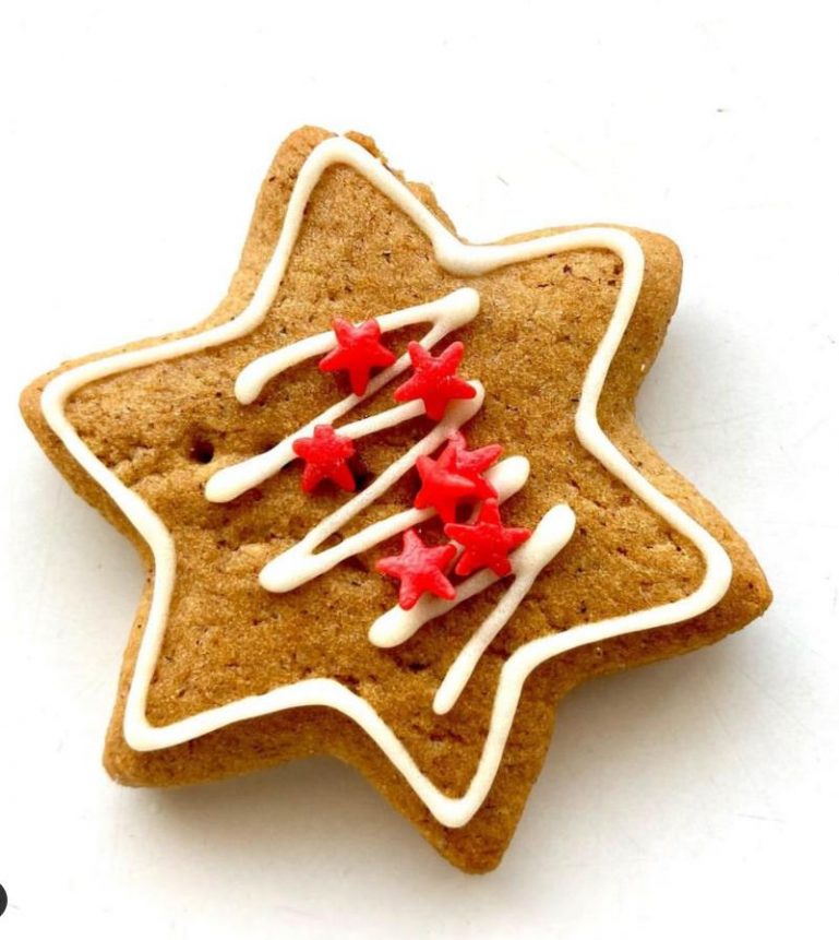 Come On, DIY Christmas Biscuit Belongs to Your Family! - Lily Fashion Style