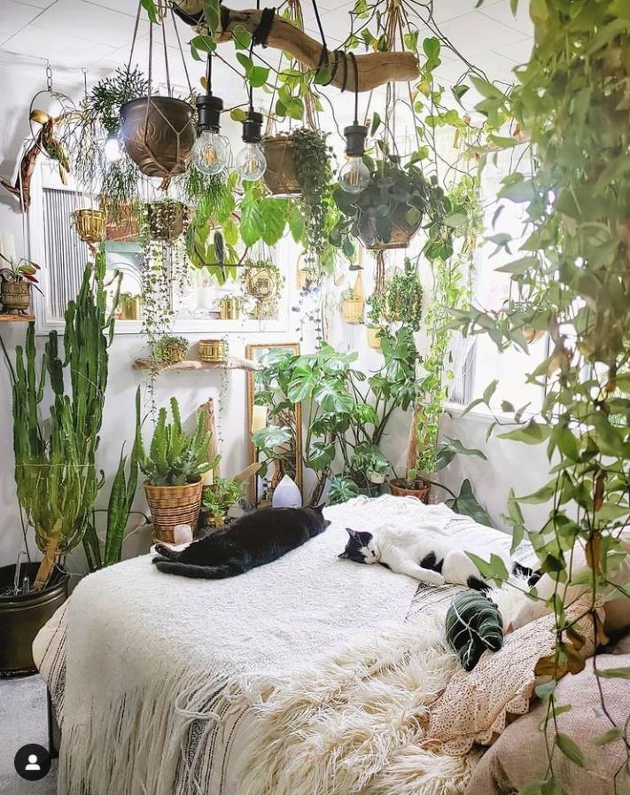 Green Plant Decoration Room Can Not Only Make the Air Fresh, But Also ...