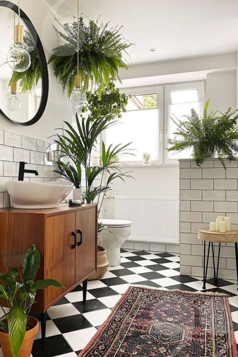 Green Plants Bring Benefits to Home Decoration, Let you Expect?