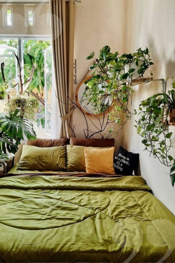 Green Plants Bring Benefits to Home Decoration