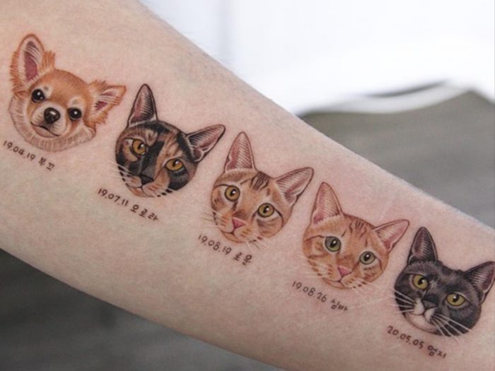 Cute cat tattoo ideas 2022 for the cat lover
